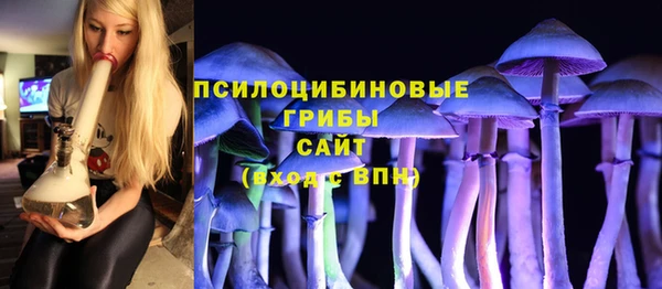 ALPHA PVP Долгопрудный